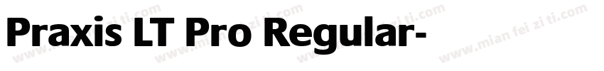Praxis LT Pro Regular字体转换